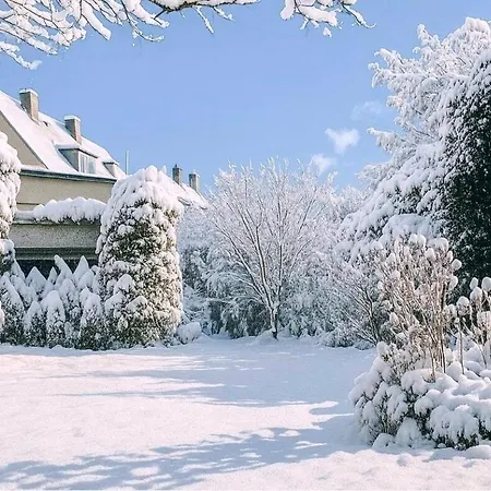 Appartement Haus An Der Wiese Privat Mit Garten Und Parkplatz